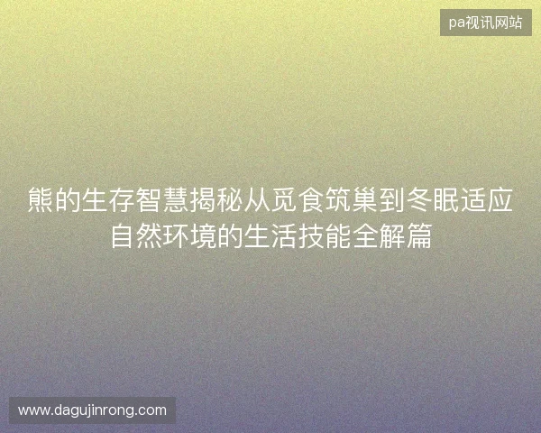 熊的生存智慧揭秘从觅食筑巢到冬眠适应自然环境的生活技能全解篇 熊的生存智慧揭秘从觅食筑巢到冬眠适应自然环境的生活技能全解篇